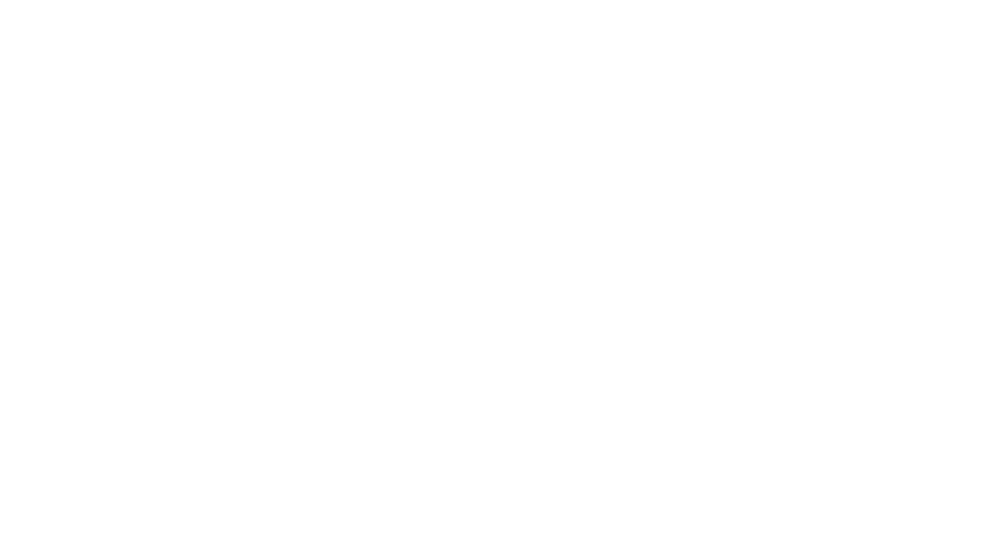 APPLE LOGO