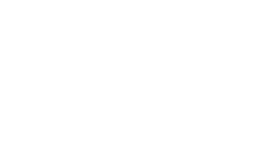 MSI LOGO